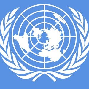 Meet your Posher, Javi